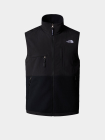Куртки и дубленки The North Face Retro Denali модель NF0A88XJJK31 Фото
