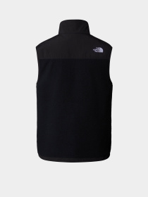 Куртки и дубленки The North Face Retro Denali модель NF0A88XJJK31 Фото