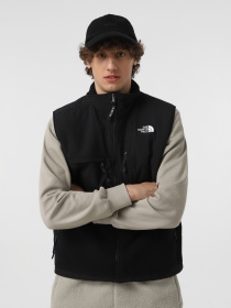 Куртки и дубленки The North Face Retro Denali модель NF0A88XJJK31 Фото