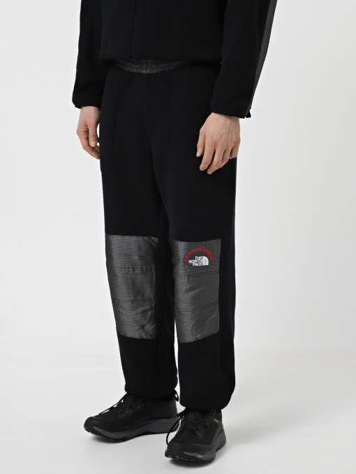 Брюки The North Face Retro Denali модель NF0A88XK4O41 Фото