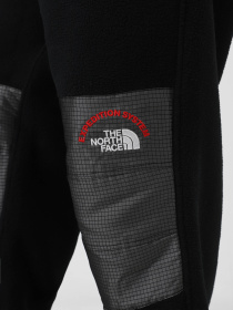 Брюки The North Face Retro Denali модель NF0A88XK4O41 Фото