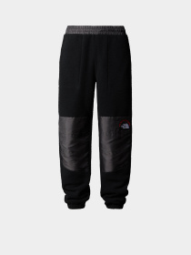 Брюки The North Face Retro Denali модель NF0A88XK4O41 Фото