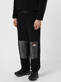 Брюки The North Face Retro Denali модель NF0A88XK4O41 Фото