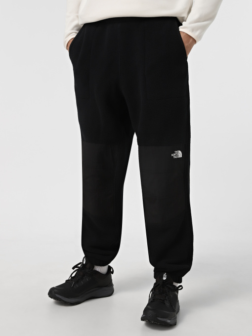 Брюки The North Face Retro Denali модель NF0A88XKJK31 Фото