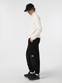 Брюки The North Face Retro Denali модель NF0A88XKJK31 Фото