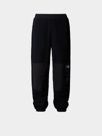 Брюки The North Face Retro Denali модель NF0A88XKJK31 Фото