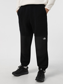 Брюки The North Face Retro Denali модель NF0A88XKJK31 Фото