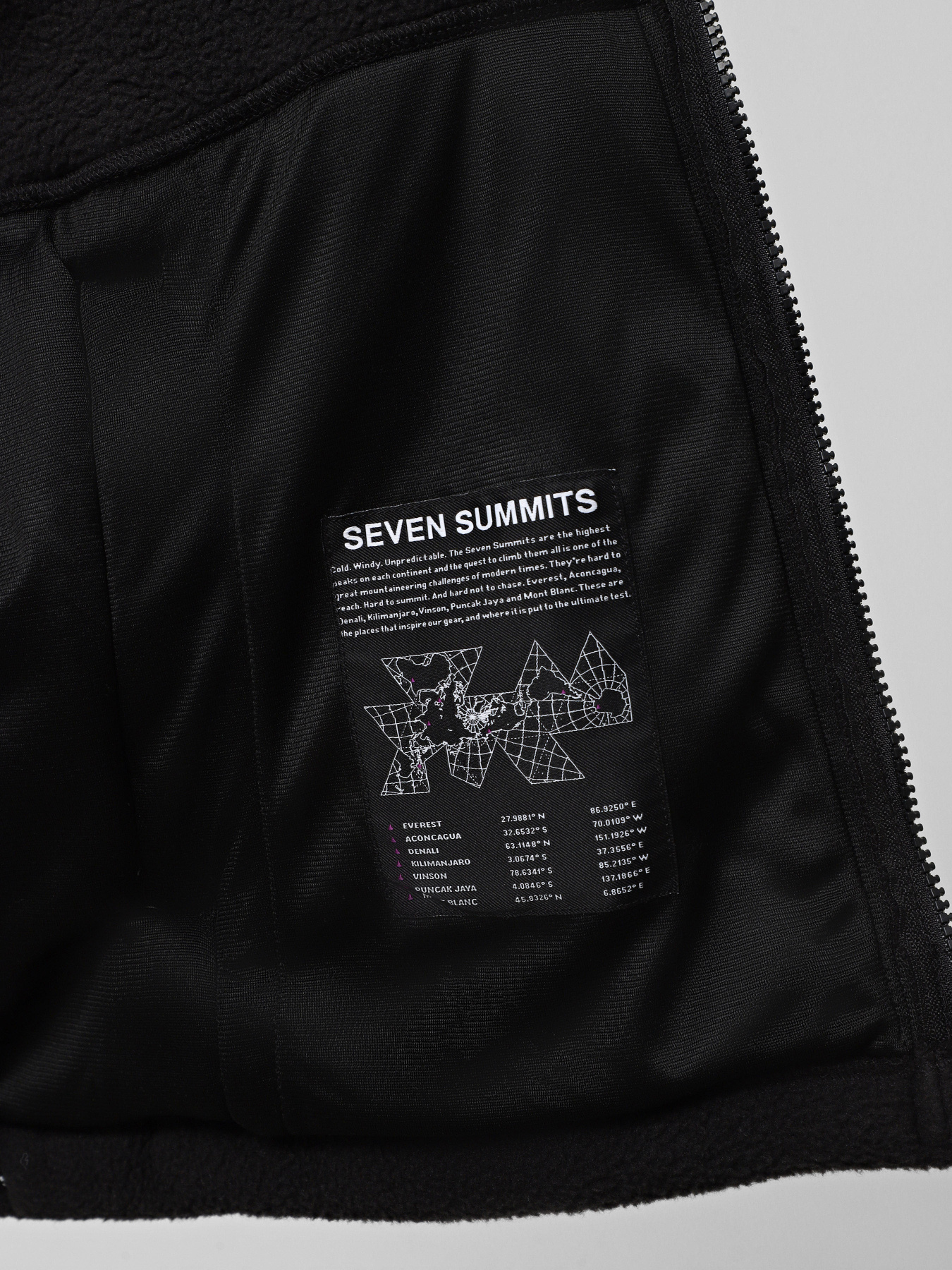 Худи и свитшоты The North Face Fleeski модель NF0A88XQJK31 Худи и свитшоты The North Face Fleeski модель NF0A88XQJK31 Фото