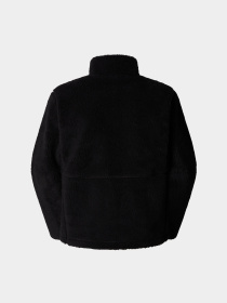 Худи и свитшоты The North Face Extreme Pile модель NF0A88Y5JK31 Фото