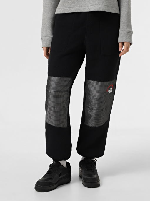 Брюки The North Face Retro Denali модель NF0A88YS4O41 Фото
