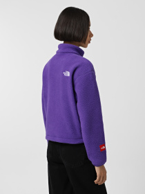 Худі та світшоти The North Face Fleeski модель NF0A88Z2NL41 Фото