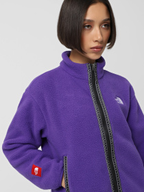 Худі та світшоти The North Face Fleeski модель NF0A88Z2NL41 Фото