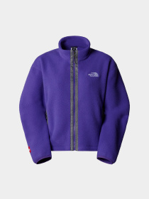 Худі та світшоти The North Face Fleeski модель NF0A88Z2NL41 Фото