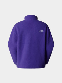 Худі та світшоти The North Face Fleeski модель NF0A88Z2NL41 Фото