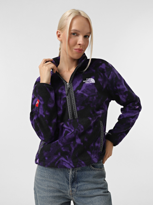Худи и свитшоты The North Face Fleeski 1/4 Zip модель NF0A88Z33VI1 Фото