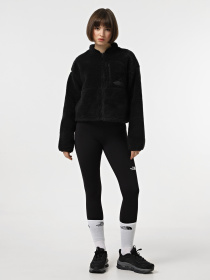 Худи и свитшоты The North Face Extreme Pile модель NF0A88ZBJK31 Фото