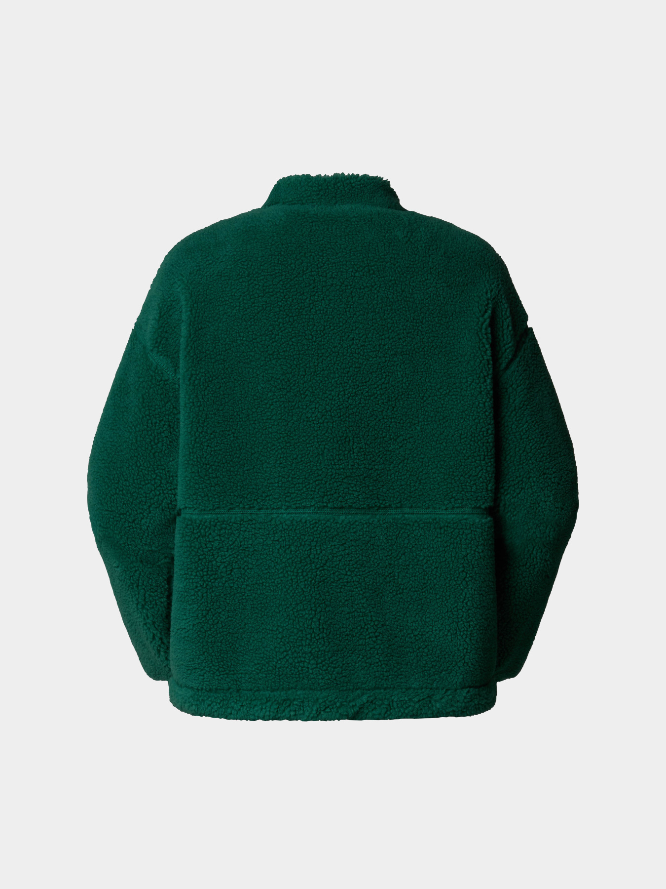Худи и свитшоты The North Face Extreme Pile модель NF0A88ZBS9W1 Фото