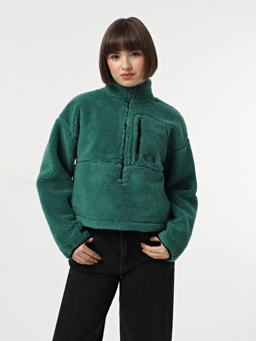 Худи и свитшоты The North Face Extreme Pile модель NF0A88ZCS9W1 Фото