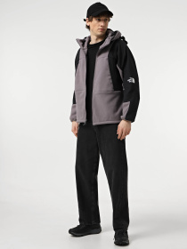 Худи и свитшоты The North Face Light Fleece модель NF0A8A840IL1 Фото
