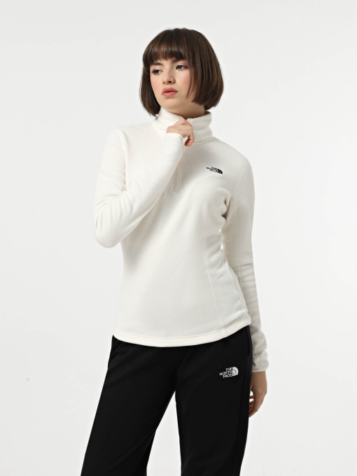Худи и свитшоты The North Face Resolve Fleece модель NF0A4SVXQLI1 Фото