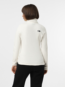 Худи и свитшоты The North Face Resolve Fleece модель NF0A4SVXQLI1 Фото