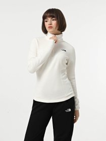 Худи и свитшоты The North Face Resolve Fleece модель NF0A4SVXQLI1 Фото