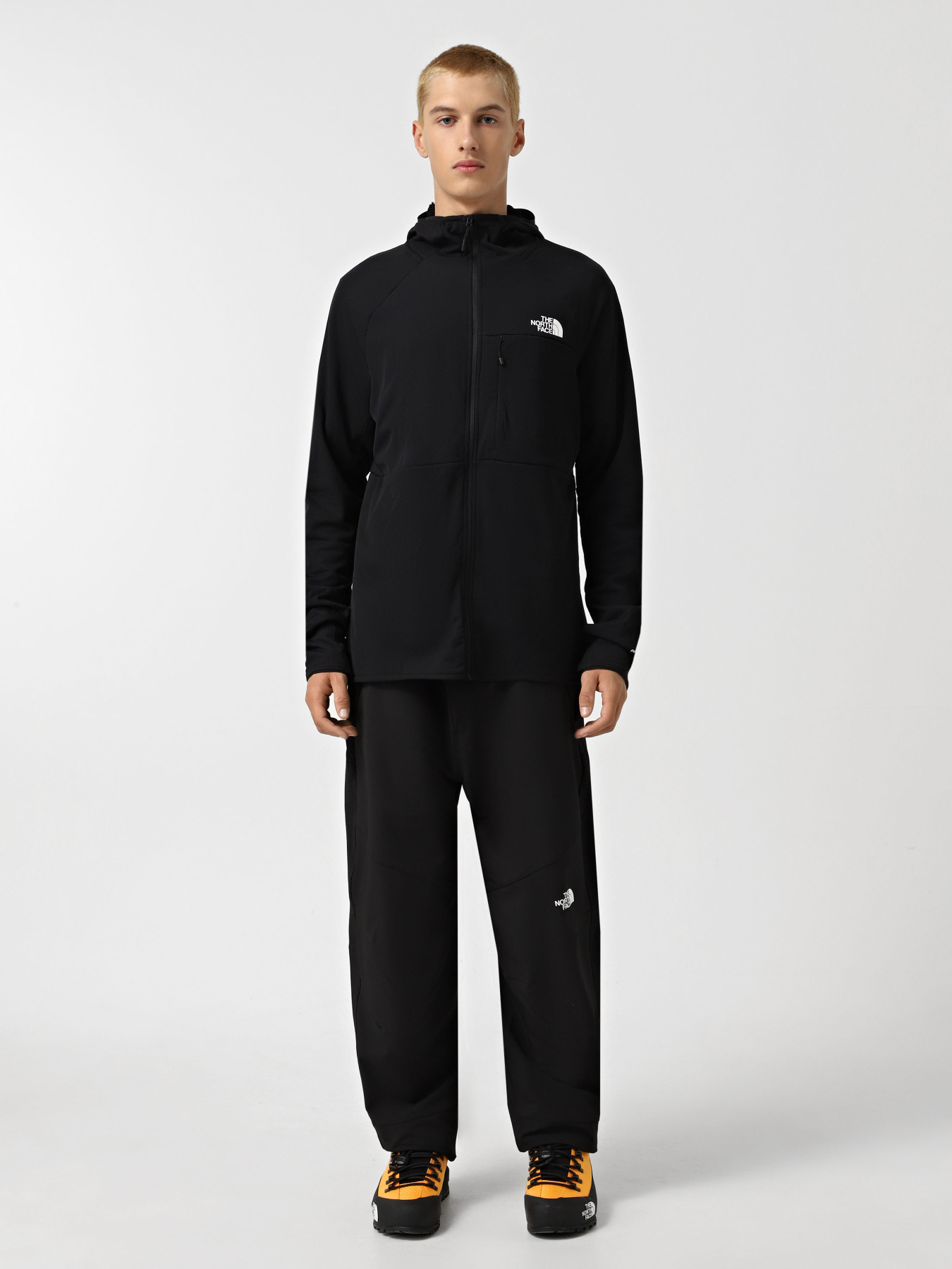 Худі та світшоти The North Face Summit Futurefleece модель NF0A5J7S4H01 Фото