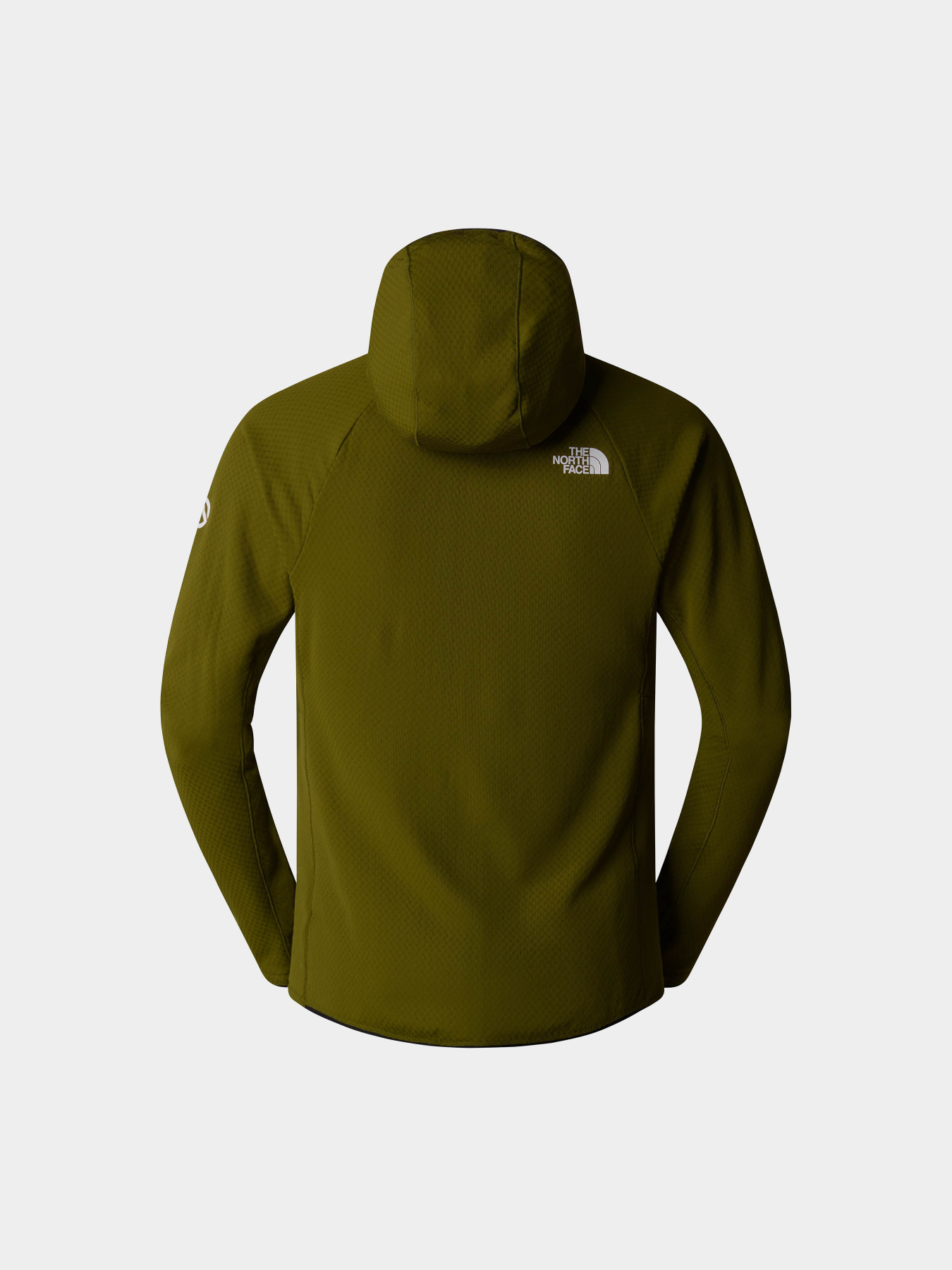 Худі та світшоти The North Face Summit Futurefleece модель NF0A5J7SPIB1 Фото