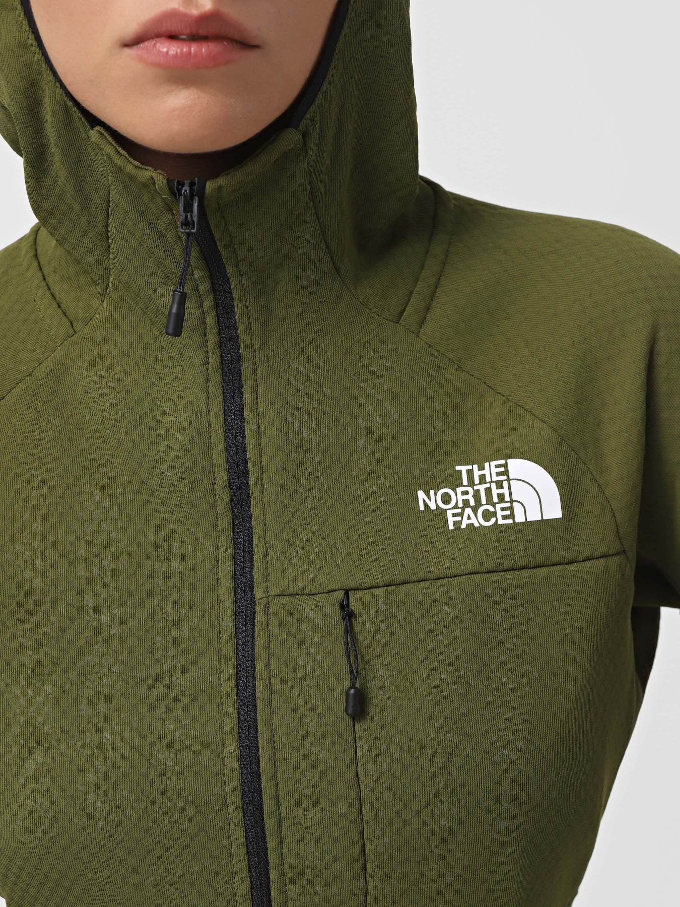 Худі та світшоти The North Face Summit Futurefleece модель NF0A5J8TPIB1 Фото