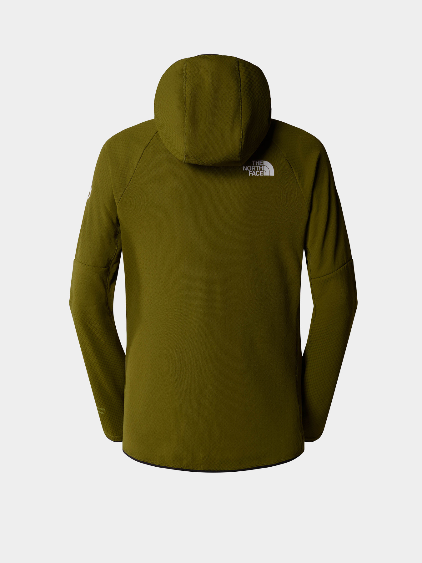 Худі та світшоти The North Face Summit Futurefleece модель NF0A5J8TPIB1 Фото
