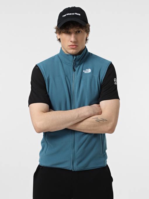 Куртки та дублянки The North Face 100 Glacier модель NF0A7SSLQ311 Фото