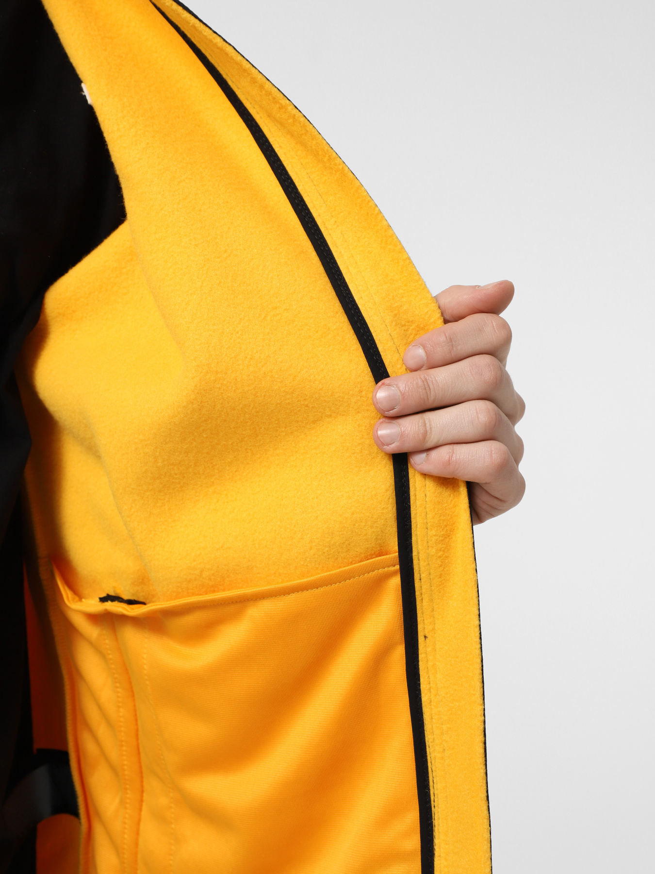 Худи и свитшоты The North Face Alpine Polartec 200 модель NF0A7WWL4WP1 Фото