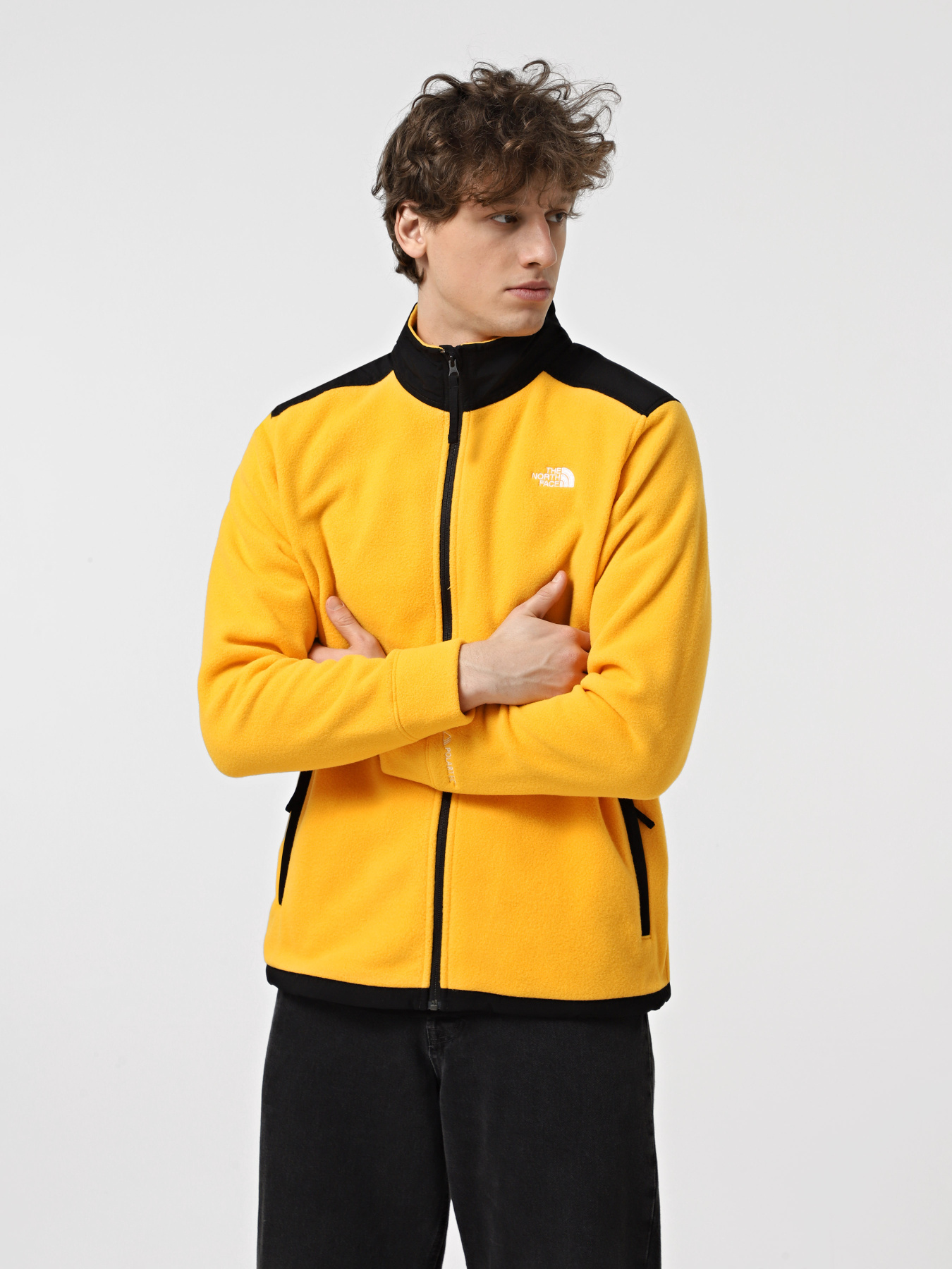 Худи и свитшоты The North Face Alpine Polartec 200 модель NF0A7WWL4WP1 Фото