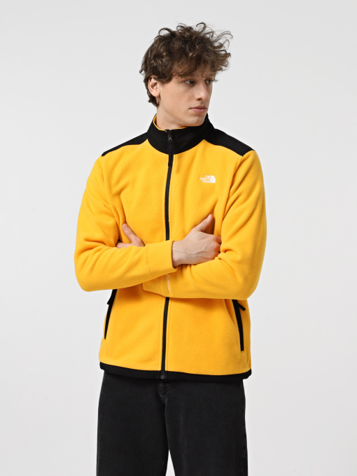 Худи и свитшоты The North Face Alpine Polartec 200 модель NF0A7WWL4WP1 Фото