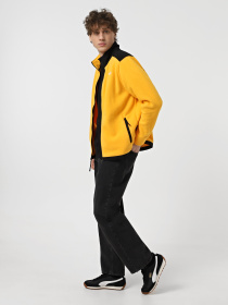 Худи и свитшоты The North Face Alpine Polartec 200 модель NF0A7WWL4WP1 Фото