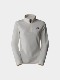 Худі та світшоти The North Face 100 Glacier 1/4 Zip модель NF0A855M4HP1 Фото