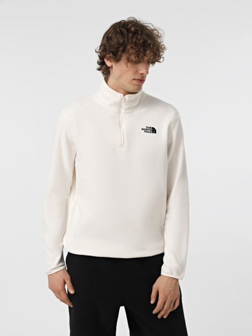 Худи и свитшоты The North Face 100 Glacier 1/4 Zip модель NF0A855W4HP1 Фото