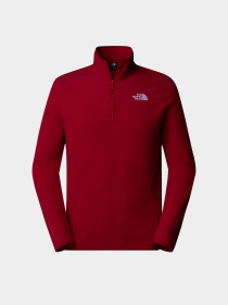 Худі та світшоти The North Face 100 Glacier модель NF0A855W3RO1 Фото