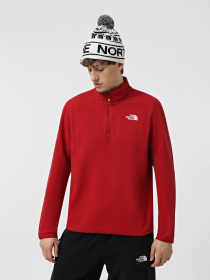 Худі та світшоти The North Face 100 Glacier модель NF0A855W3RO1 Фото