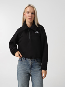 Худи и свитшоты The North Face 100 Glacier модель NF0A89J9JK31 Фото