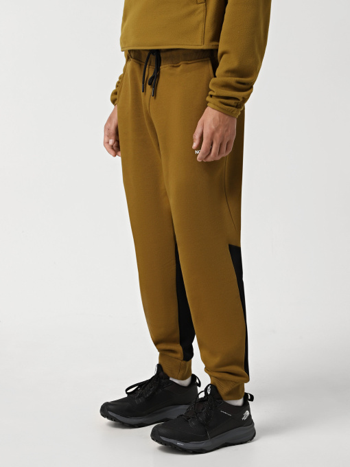 Брюки The North Face Icons модель NF0A87DQ5HO1 Фото