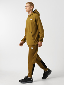 Брюки The North Face Icons модель NF0A87DQ5HO1 Фото