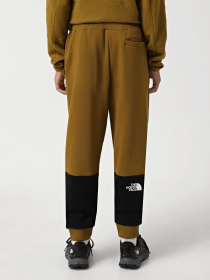 Брюки The North Face Icons модель NF0A87DQ5HO1 Фото