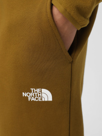 Брюки The North Face Icons модель NF0A87DQ5HO1 Фото
