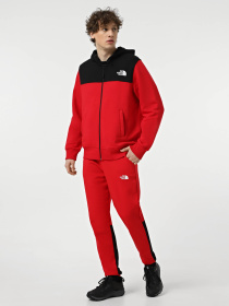 Брюки The North Face Icons модель NF0A87DQKZ31 Фото