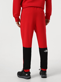 Брюки The North Face Icons модель NF0A87DQKZ31 Фото