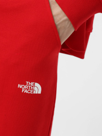 Брюки The North Face Icons модель NF0A87DQKZ31 Фото