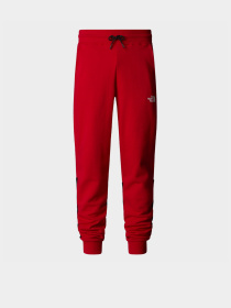 Брюки The North Face Icons модель NF0A87DQKZ31 Фото
