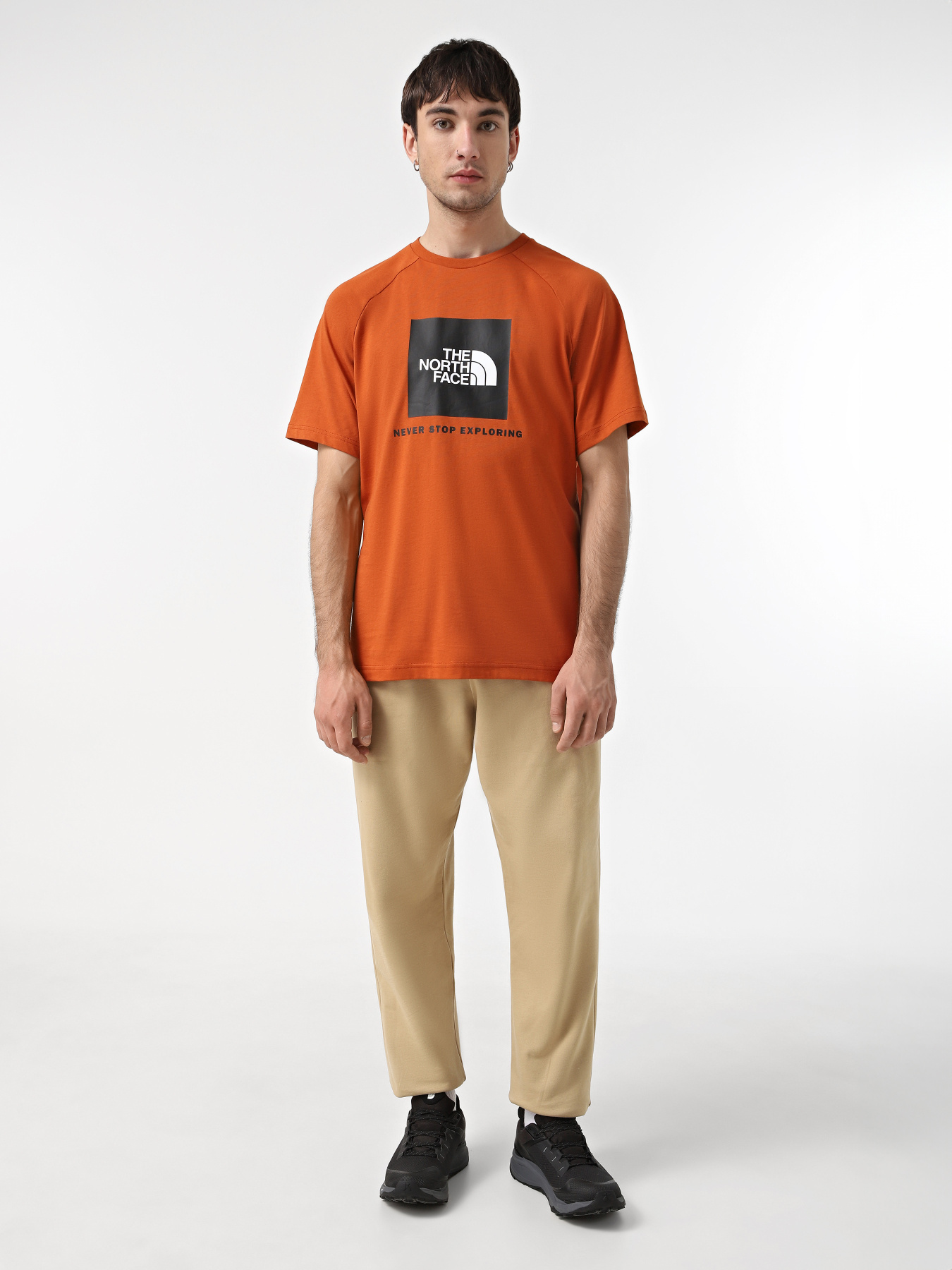 Футболки и поло The North Face Raglan Redbox модель NF0A87NJ1I01 Фото