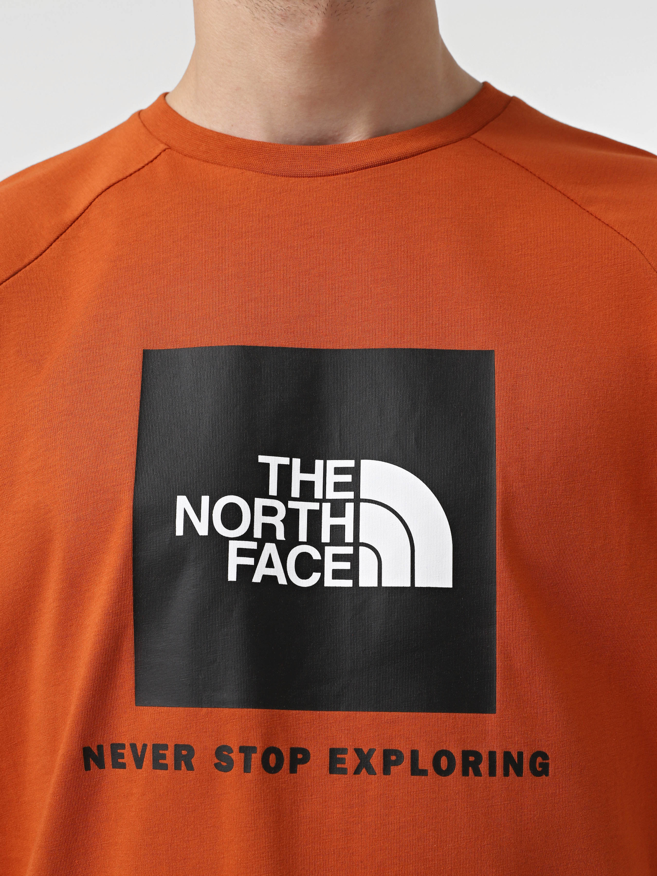 Футболки и поло The North Face Raglan Redbox модель NF0A87NJ1I01 Фото
